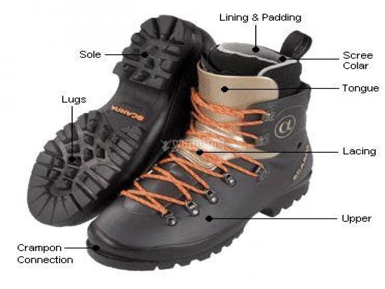 Hiking boots /tb_Hiking boots.jpg